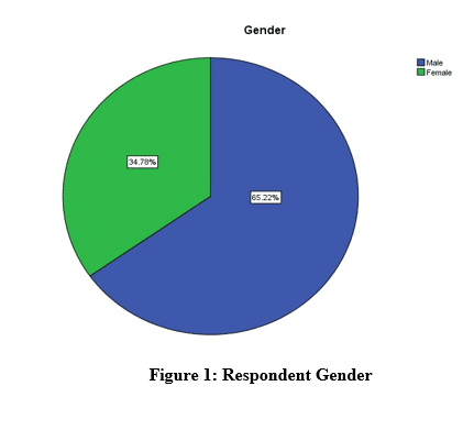 figure 1 respondent gender pie chart