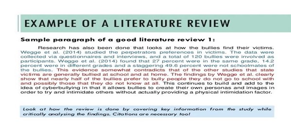Example Of Literature Review